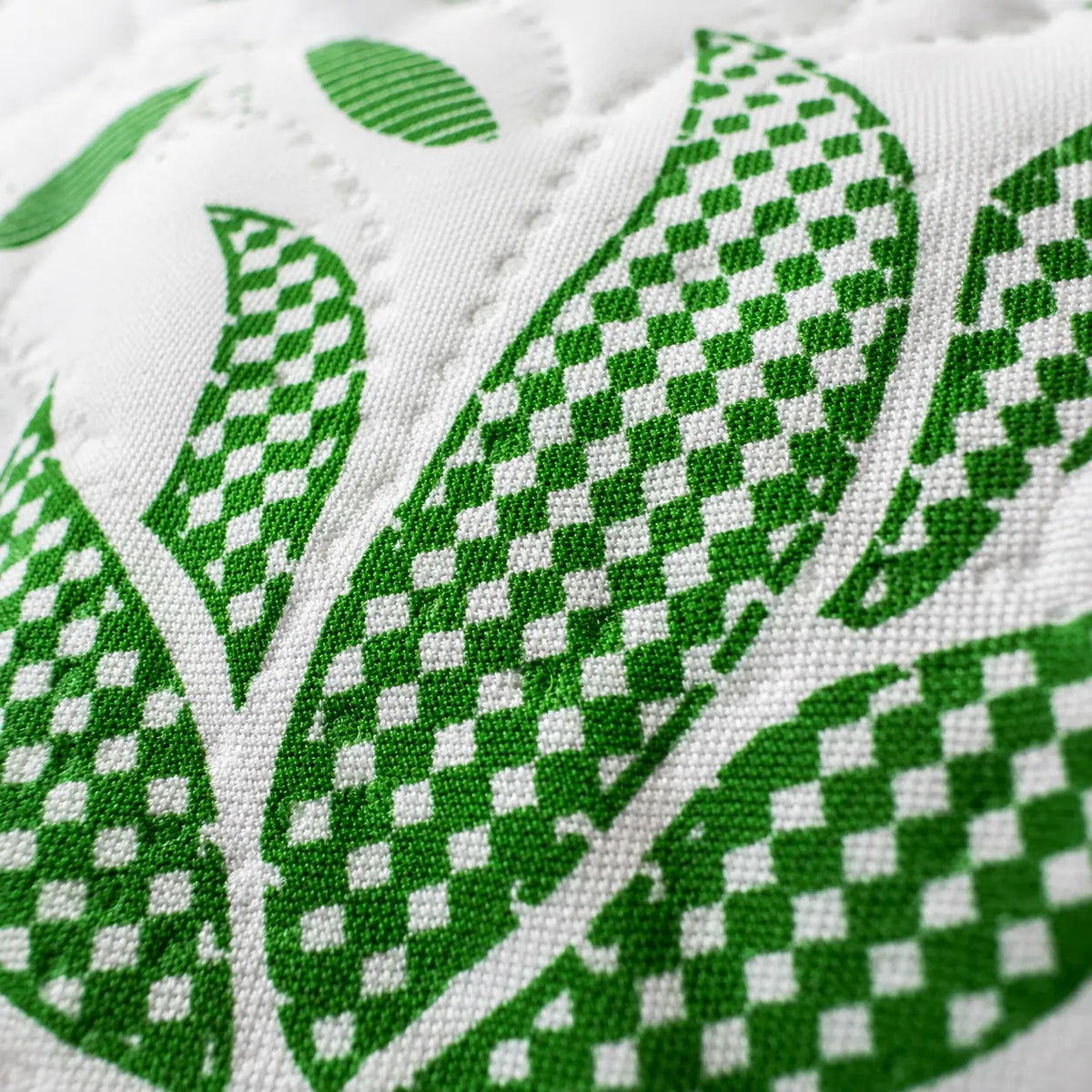 Detaliu perna Aloe Vera: microfibra matlasata cu frunze verzi vibrante
