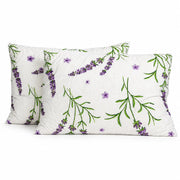 Pachet 2 Perne Lavanda (1+1 GRATIS)